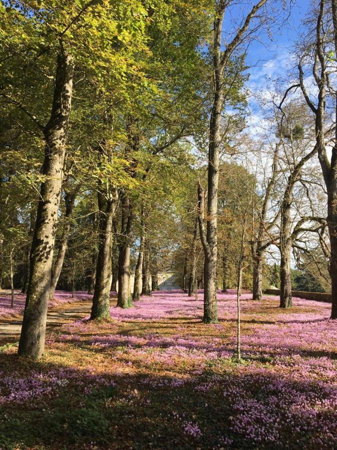 مبيت وإفطار Queaux The House Of Lavender المظهر الخارجي الصورة